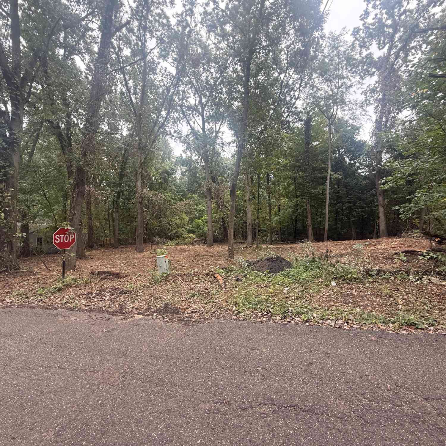 Vacant Land For Sale - VL Lakeview Dr<br/> Dowagiac, MI 49047