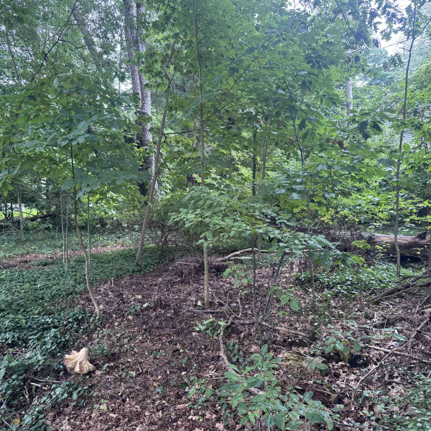 Vacant Land For Sale - 0 V/L Hollywood Dr. Drive<br/> Holland, MI 49424