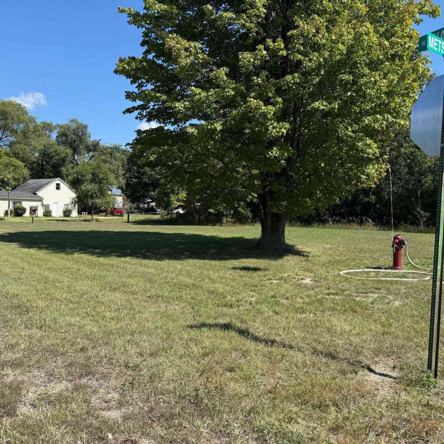 Vacant Land For Sale - 9129 Walta Street<br/> Kaleva, MI 49645