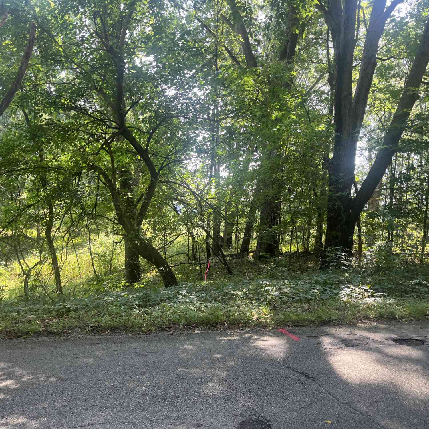 Vacant Land For Sale - B Grand River Road<br/> Rives Junction, MI 49277