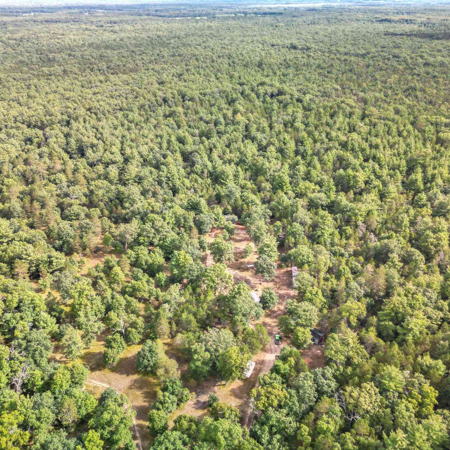 Vacant Land For Sale - 40 ACRES Vl<br/> Oceana County, Shelby, MI 49455