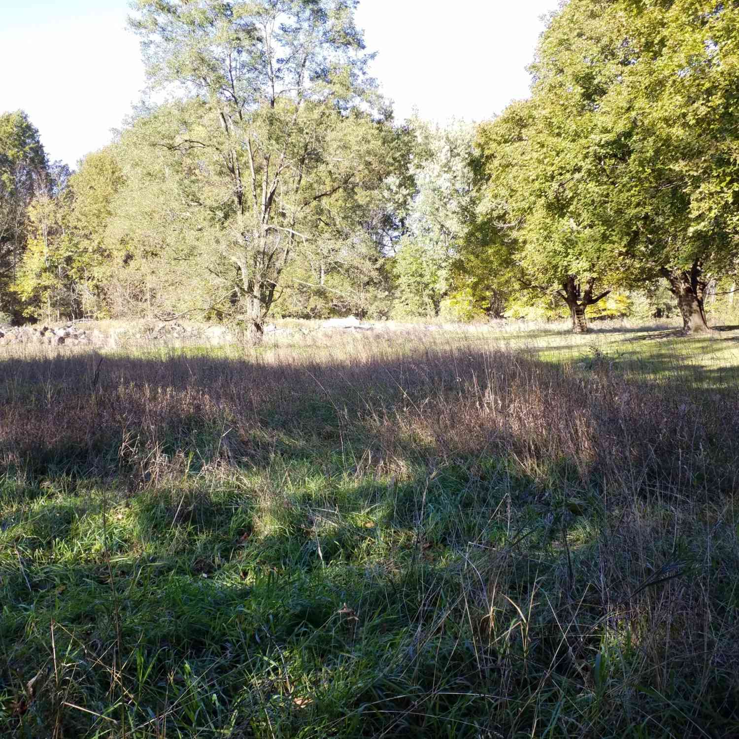Vacant Land For Sale - 1943 Mandigo Avenue<br/> Portage, MI 49002