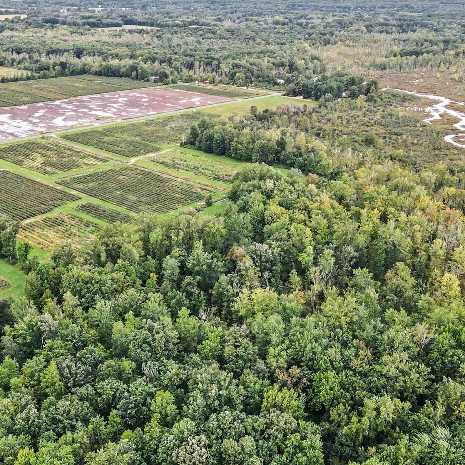 Vacant Land For Sale - County Road 653<br/> Van Buren County, Gobles, MI 49055