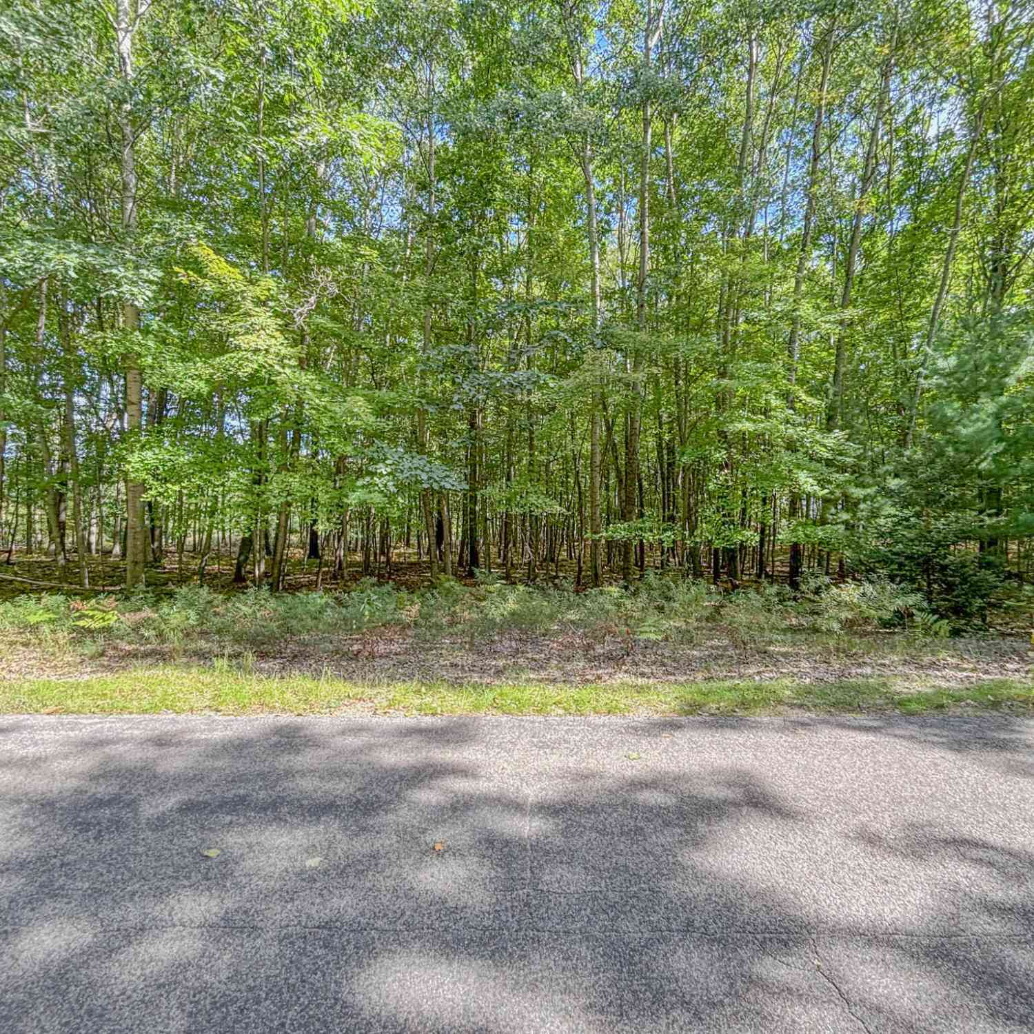 Vacant Land For Sale - 6336 Abbey Lane #24<br/> Canadian Lakes, MI 49346