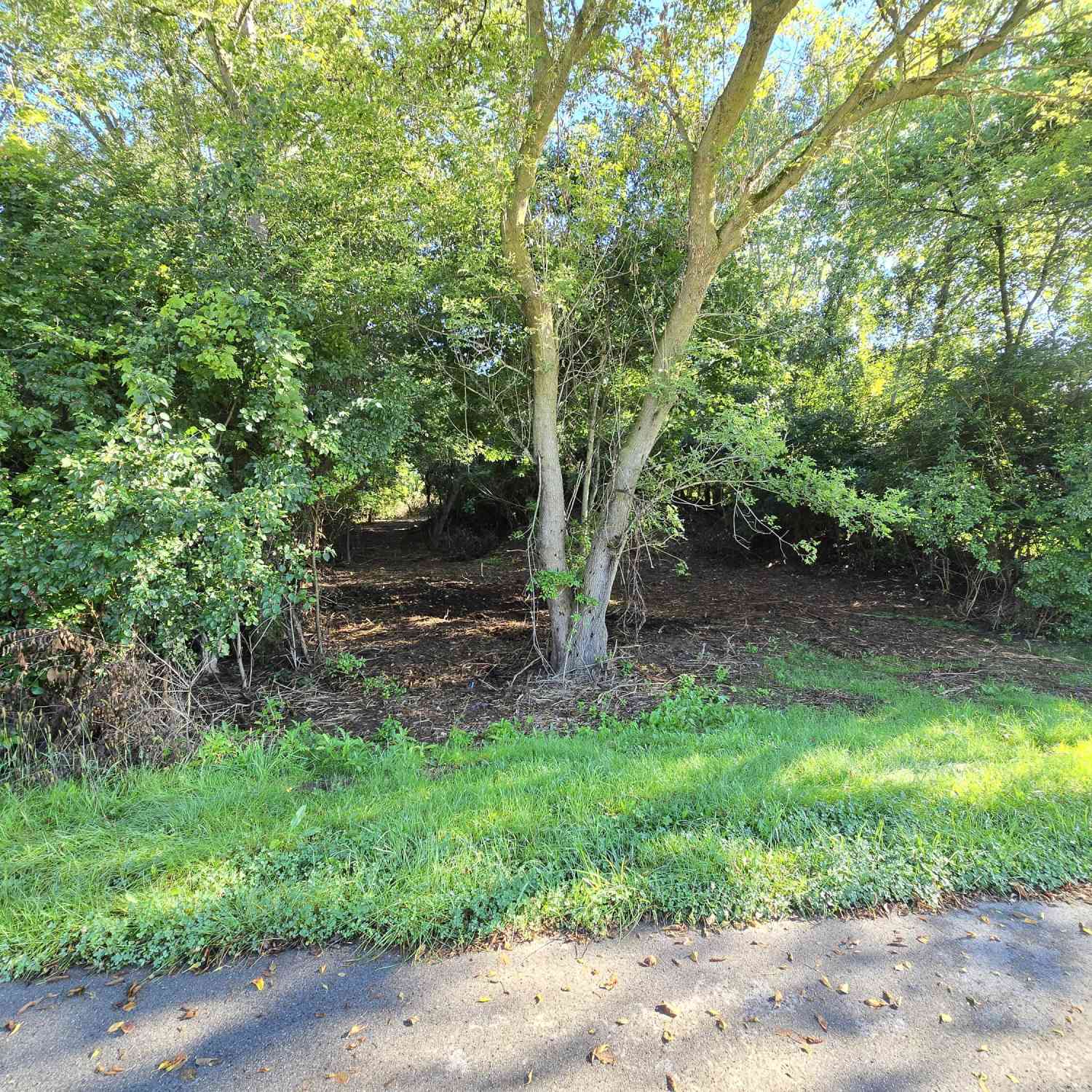 Vacant Land For Sale - .45 LOT 14 Burning Tree Lane<br/> Jackson, MI 49201
