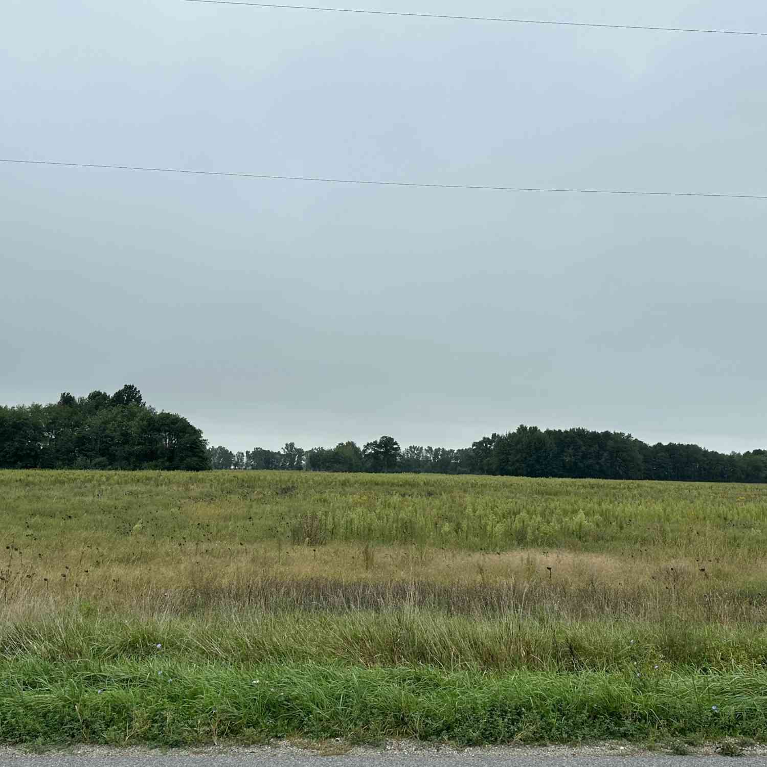 Vacant Land For Sale - 10124 New Holland Street<br/> Ottawa County, Zeeland, MI 49464