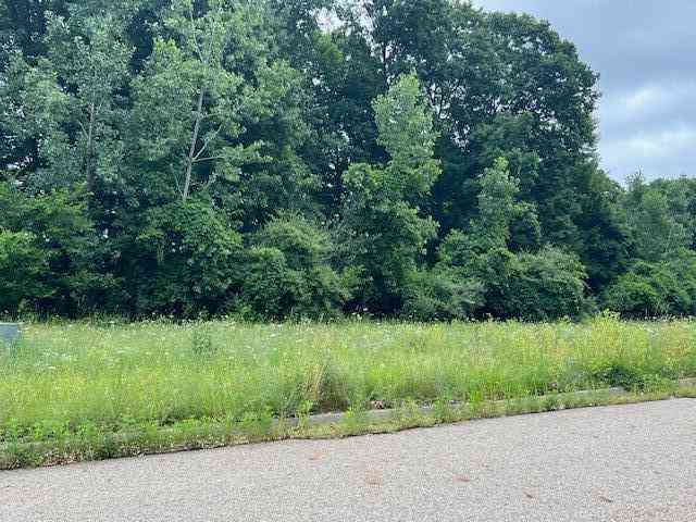 Vacant Land For Sale - 0000 Oak Ridge Hills #7<br/> Marshall, MI 49068