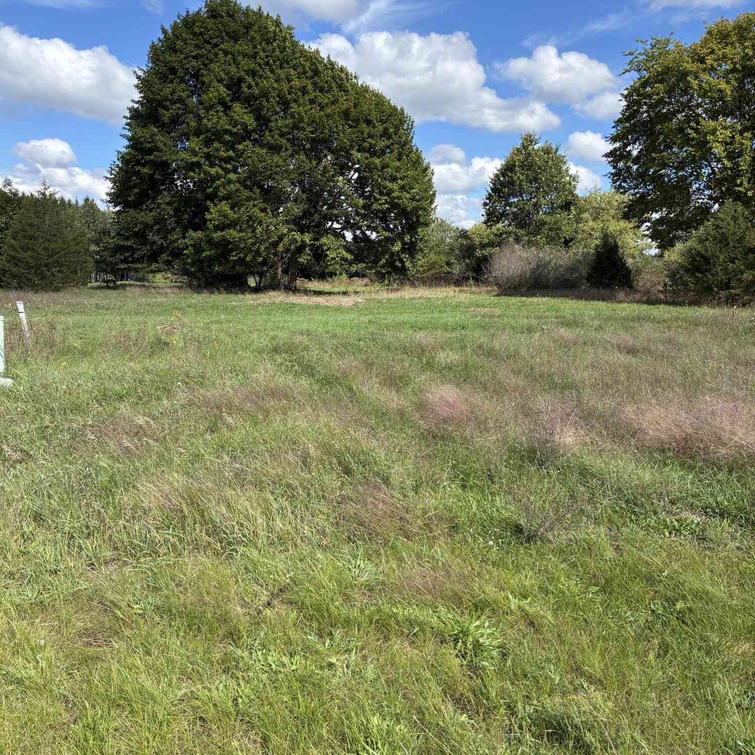 Vacant Land For Sale - W Ellis Avenue<br/> Ionia County, Belding, MI 48809
