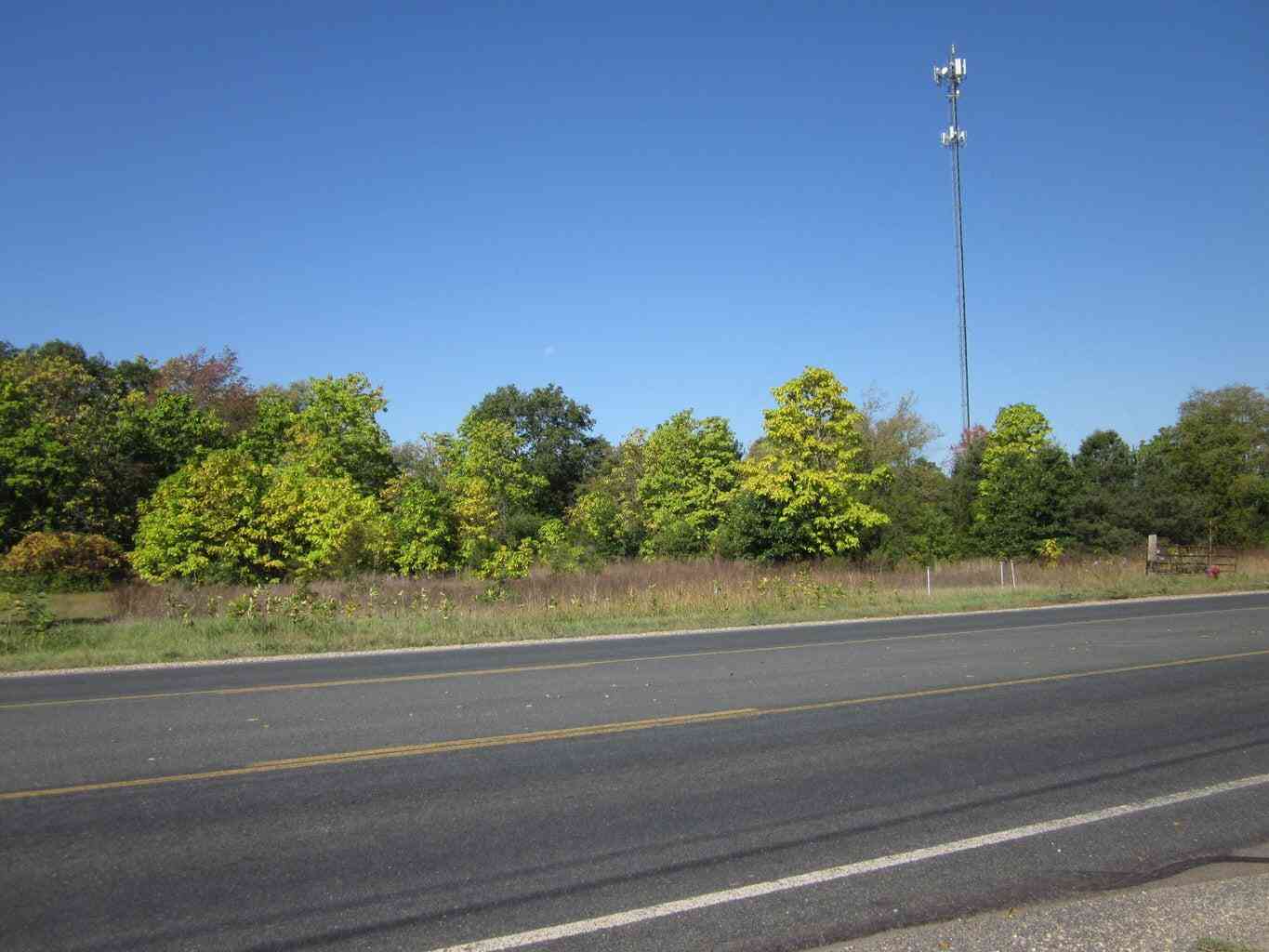 Vacant Land For Sale - 51650 Co Rd 652<br/> Van Buren County, Mattawan, MI 49071