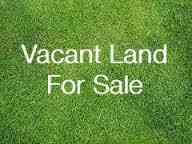 Vacant Land For Sale - 4 County Road 652<br/> Van Buren County, Mattawan, MI 49071