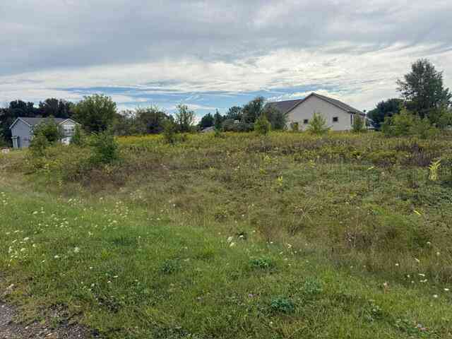 Vacant Land For Sale - Erika Drive #73<br/> Pleasant Lake, MI 49272