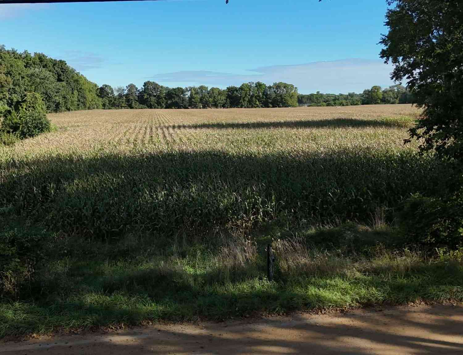 Vacant Land For Sale - VL Burton Road<br/> Niles, MI 49120