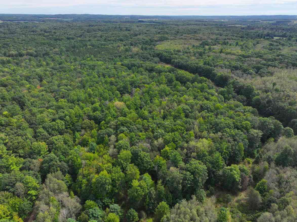 Vacant Land For Sale - V/L 5.5A W Jefferson Road<br/> Oceana County, Hart, MI 49420