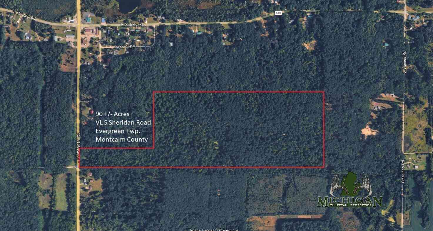 Vacant Land For Sale - Vl S Sheridan<br/> Sheridan, MI 48884