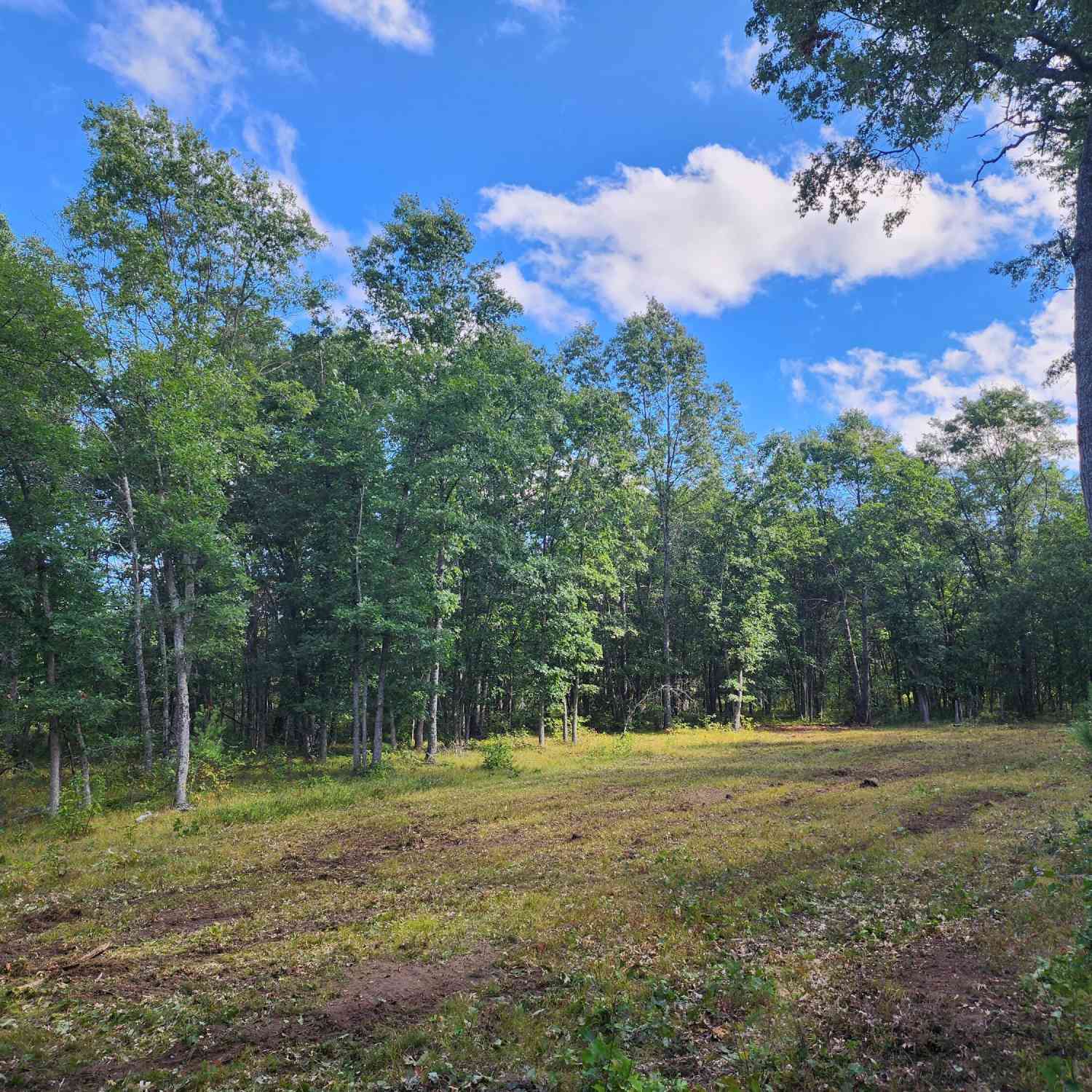 Vacant Land For Sale - V/L W Jeffers<br/> Lake County, Irons, MI 49644
