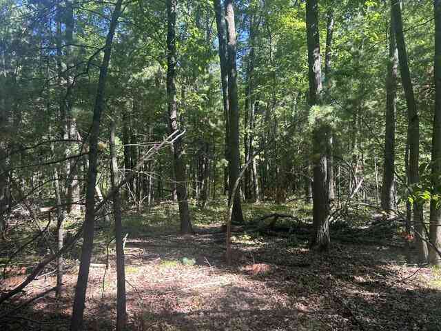 Vacant Land For Sale - 9 Mile Road<br/> Stanwood, MI 49346