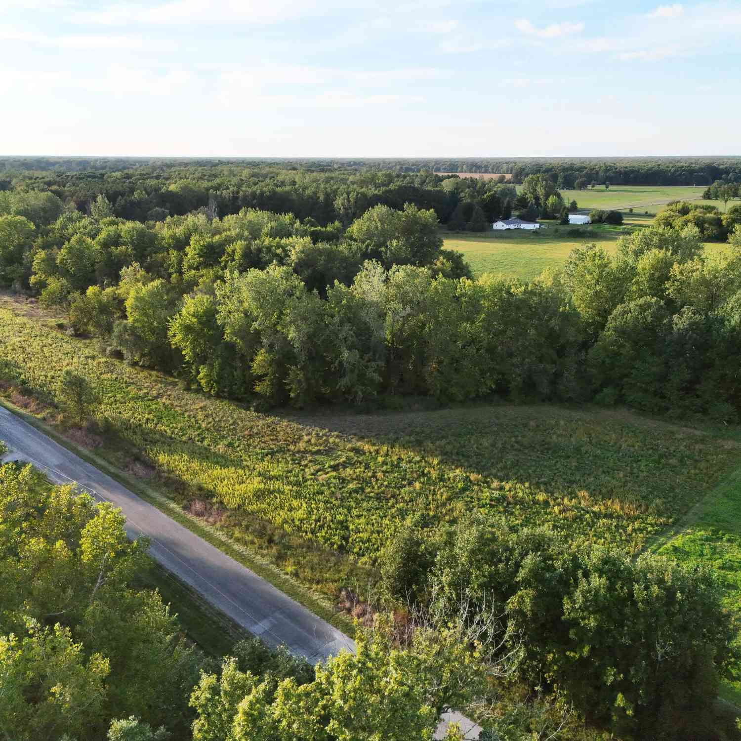 Vacant Land For Sale - V/L LOT 3 Peet Road<br/> Saginaw County, Bannister, MI 48807