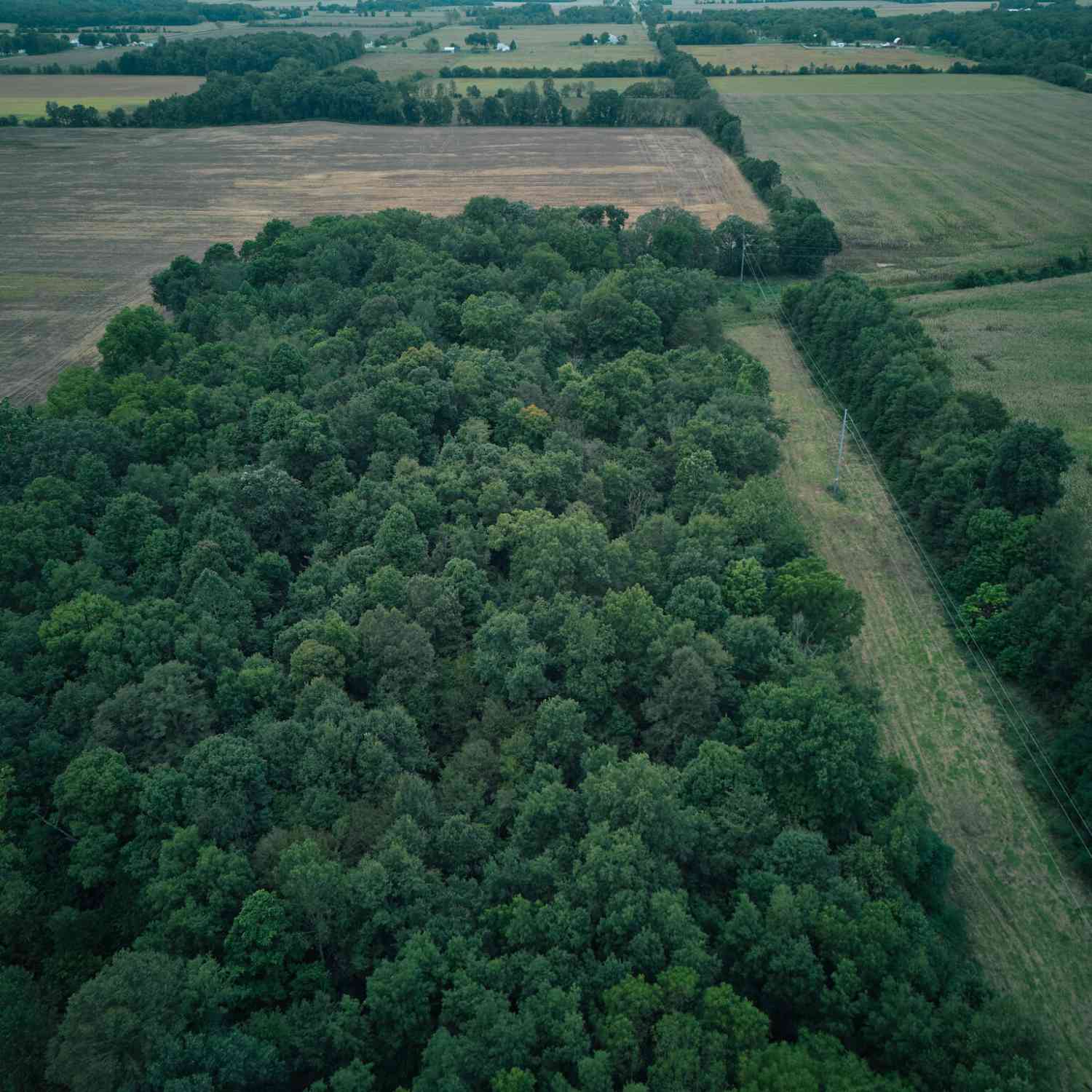 Vacant Land For Sale - Herl Road<br/> Branch County, Bronson, MI 49028