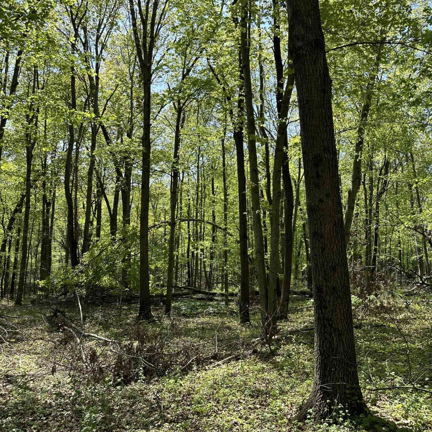 Vacant Land For Sale - 3102 W Kirby Road<br/> Calhoun County, Battle Creek, MI 49017