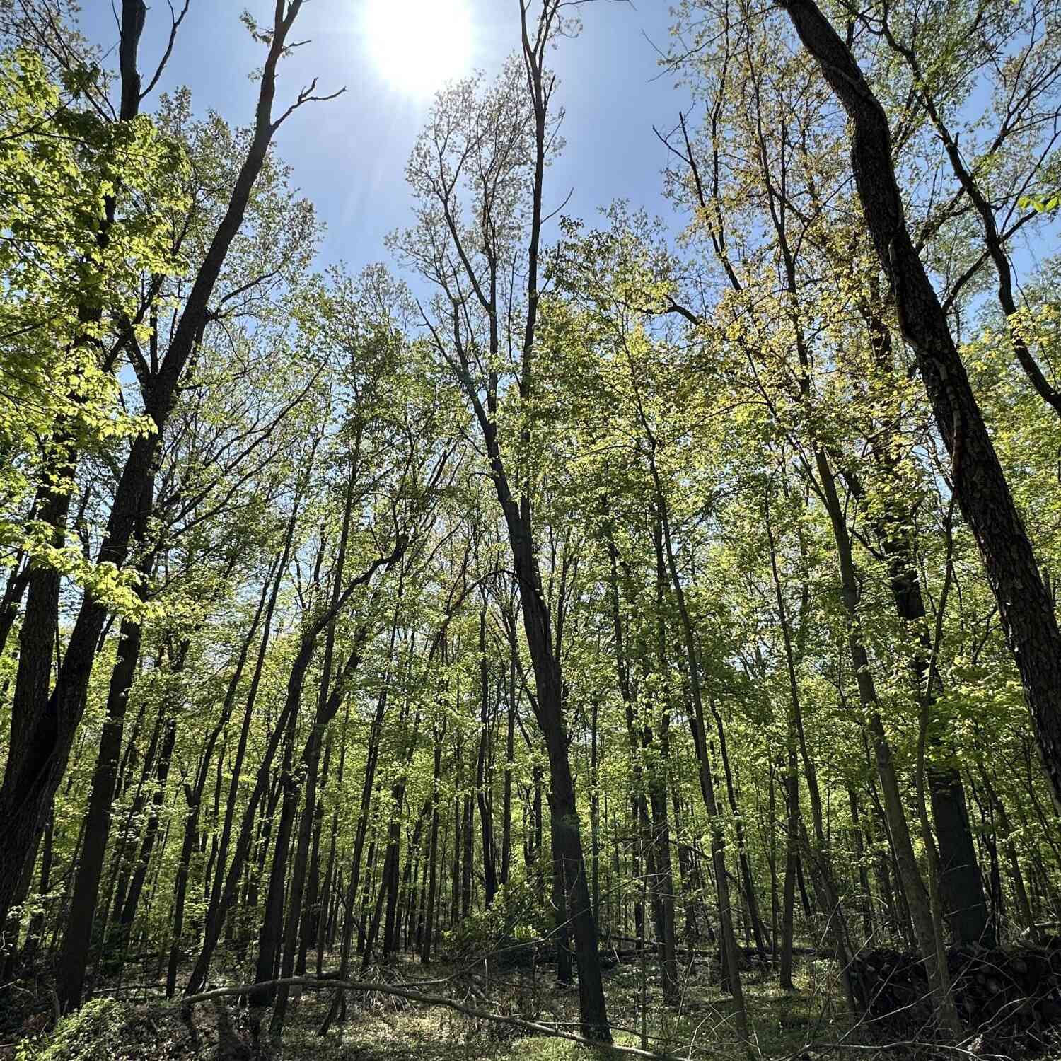 Vacant Land For Sale - W Kirby Road<br/> Calhoun County, Battle Creek, MI 49017