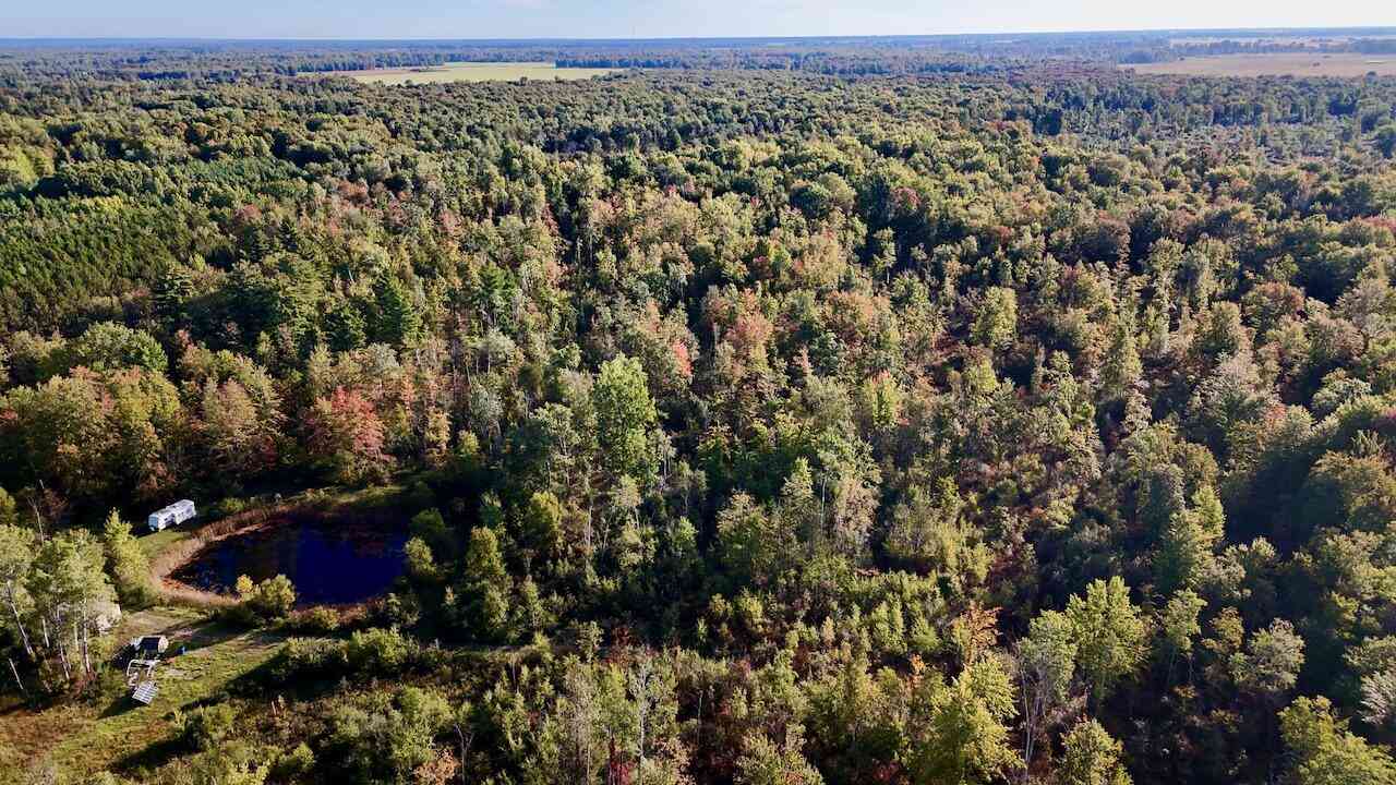 Vacant Land For Sale - 190 N Crawford Road<br/> Arenac County, Twining, MI 48766