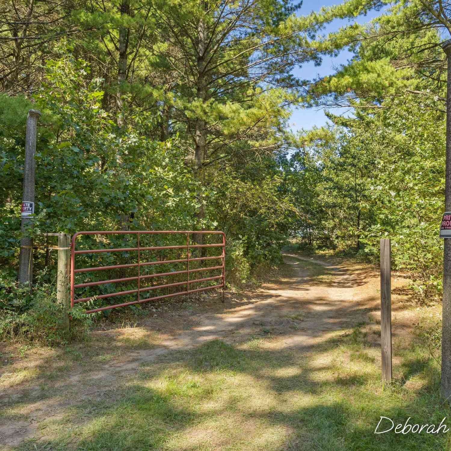 Vacant Land For Sale - 5277 E 28th Street<br/> Newaygo County, White Cloud, MI 49349