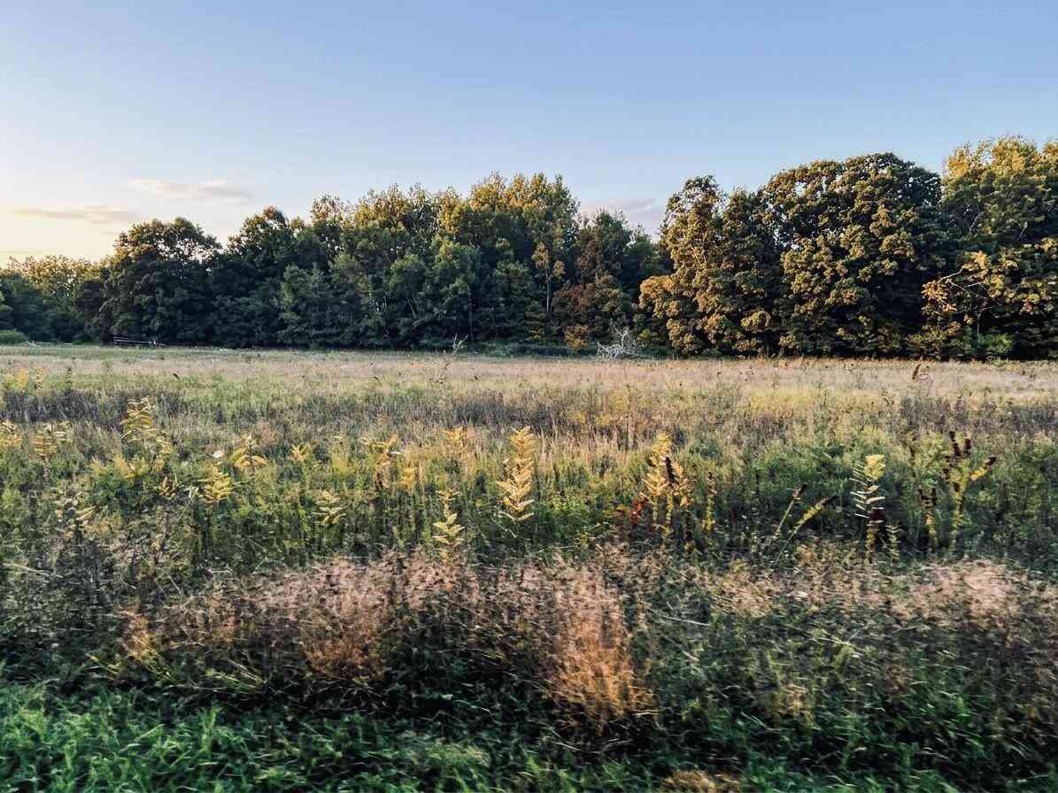 Vacant Land For Sale - 7517 S Sullivan Lane<br/> Newaygo County, Newaygo, MI 49337
