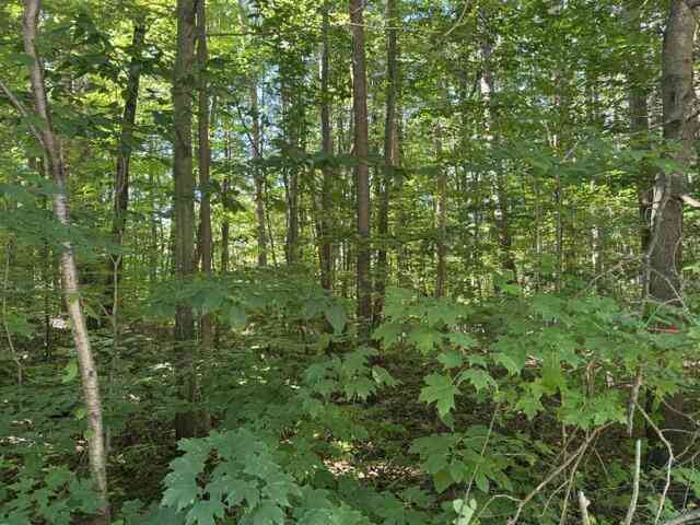 Vacant Land For Sale - 5818 Hunters Ridge<br/> Fennville, MI 49408