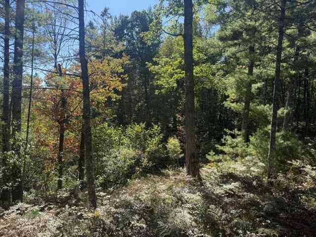 Vacant Land For Sale - VL Bagnall Avenue<br/> Lake County, Baldwin, MI 49304