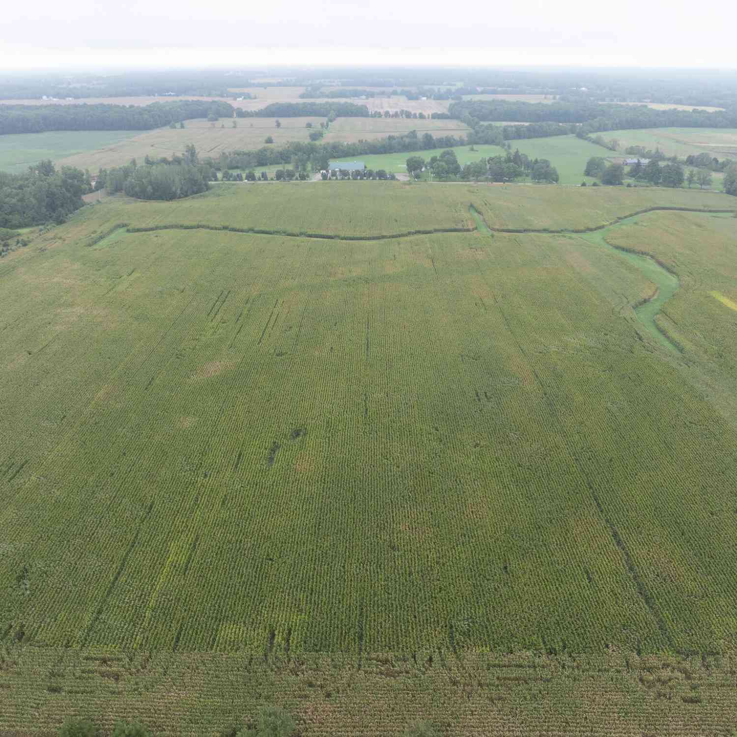 Vacant Land For Sale - 5511 W Card Road<br/> Reading, MI 49274