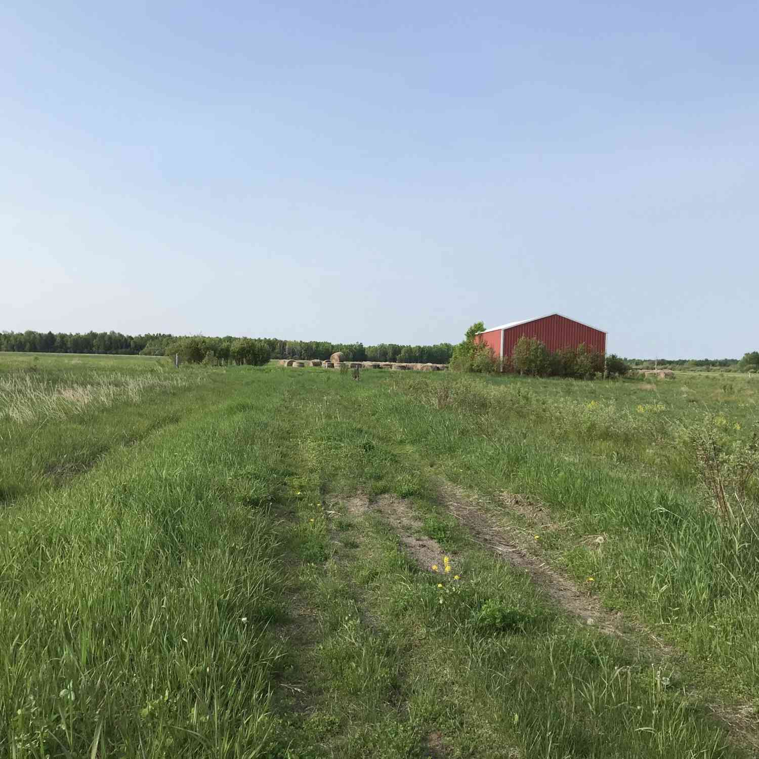 Vacant Land For Sale - 000 E 7 Mile Road<br/> Chippewa County, Sault Ste. Marie, MI 49783
