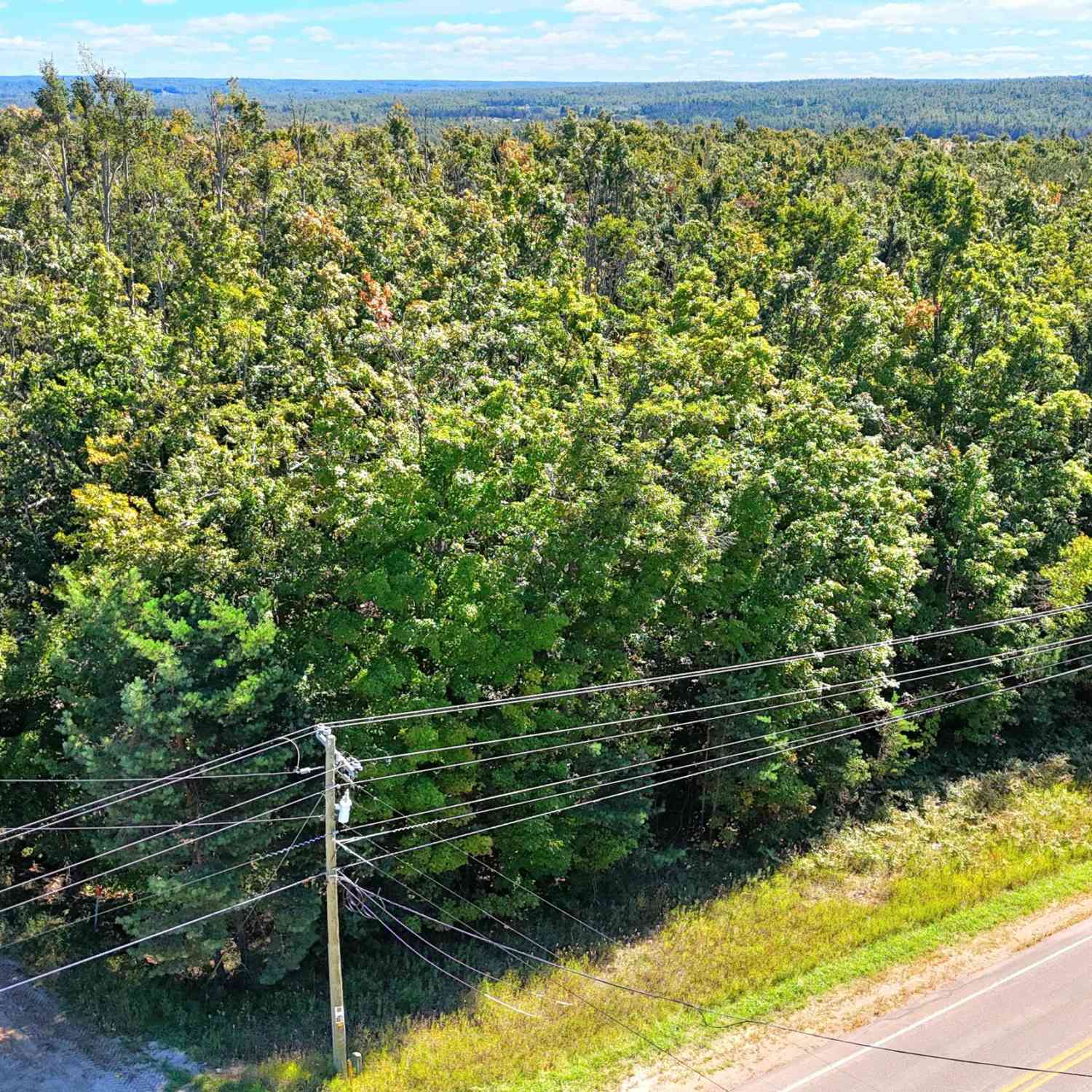 Vacant Land For Sale - A 0 Marquardt<br/> Otsego County, Gaylord, MI 49735