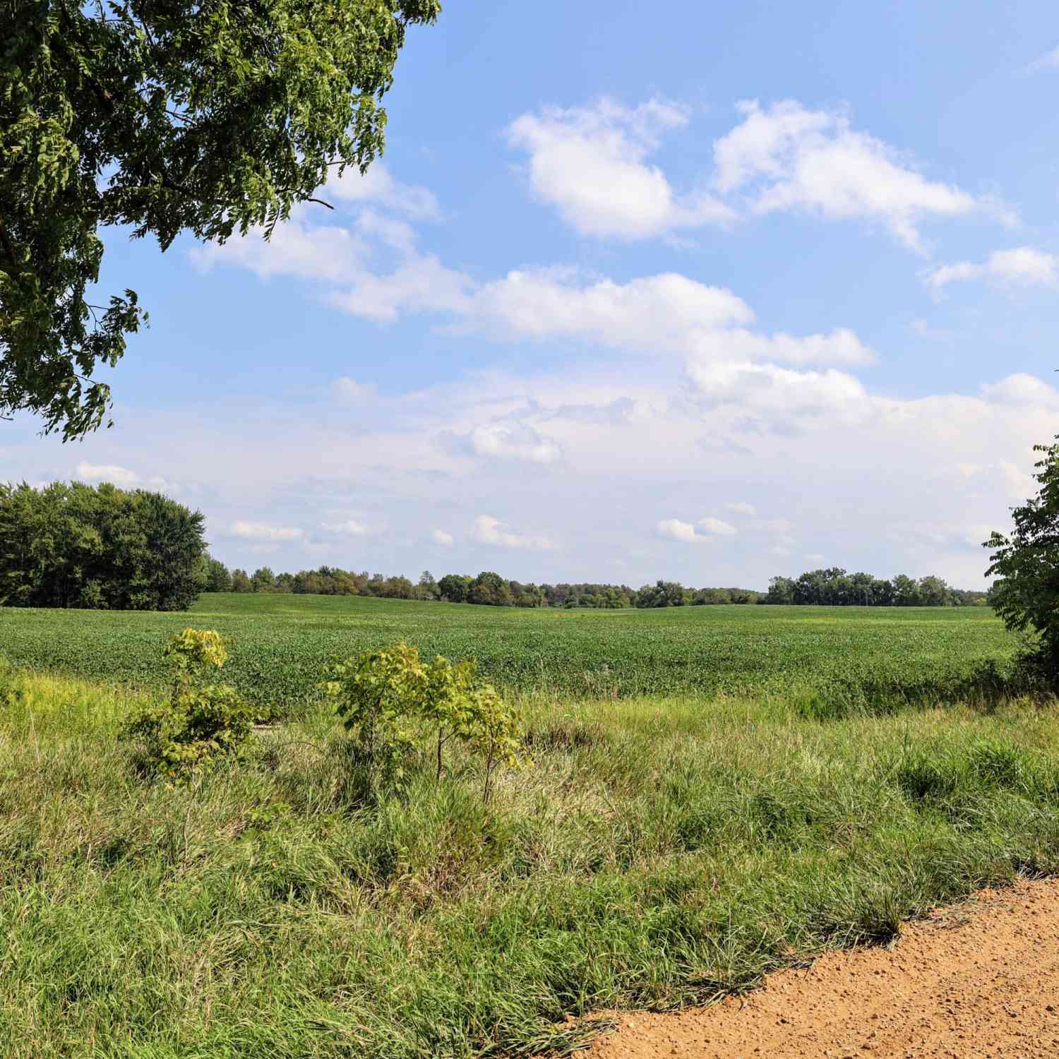 Vacant Land For Sale - 4667 Hill Road<br/> Bellevue, MI 49021