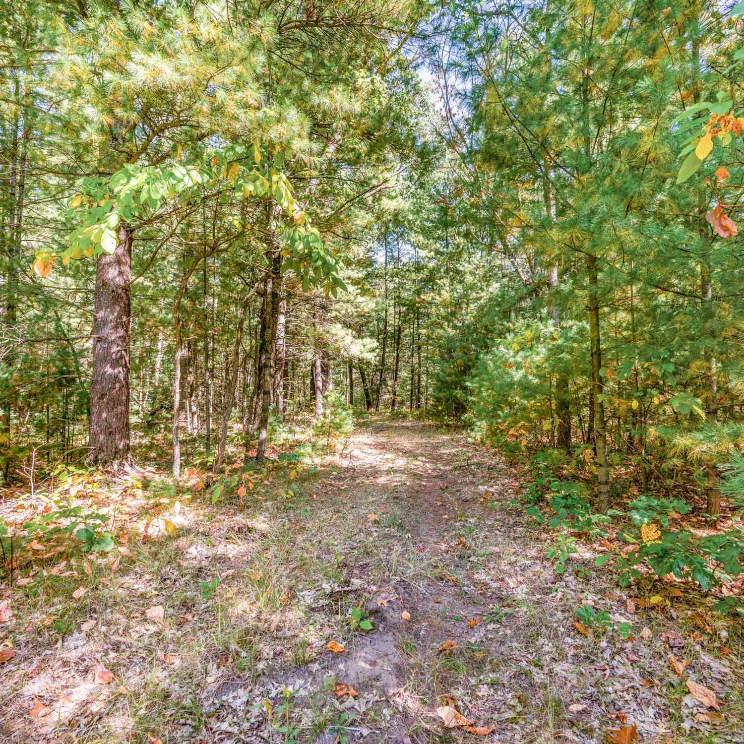 Vacant Land For Sale - V/L 40 A S Locust Avenue<br/> White Cloud, MI 49349