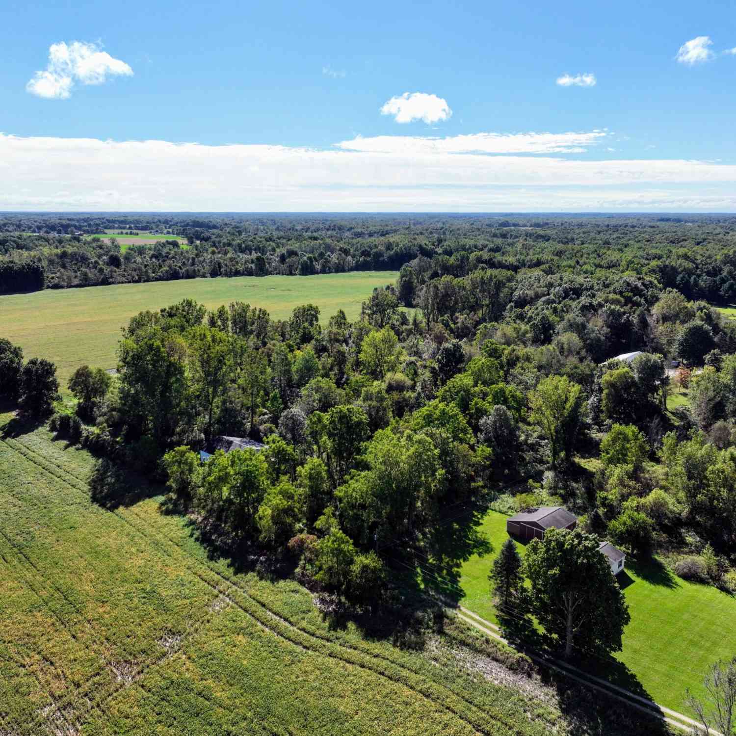 Vacant Land For Sale - 1767 Flanders Road<br/> Charlotte, MI 48813