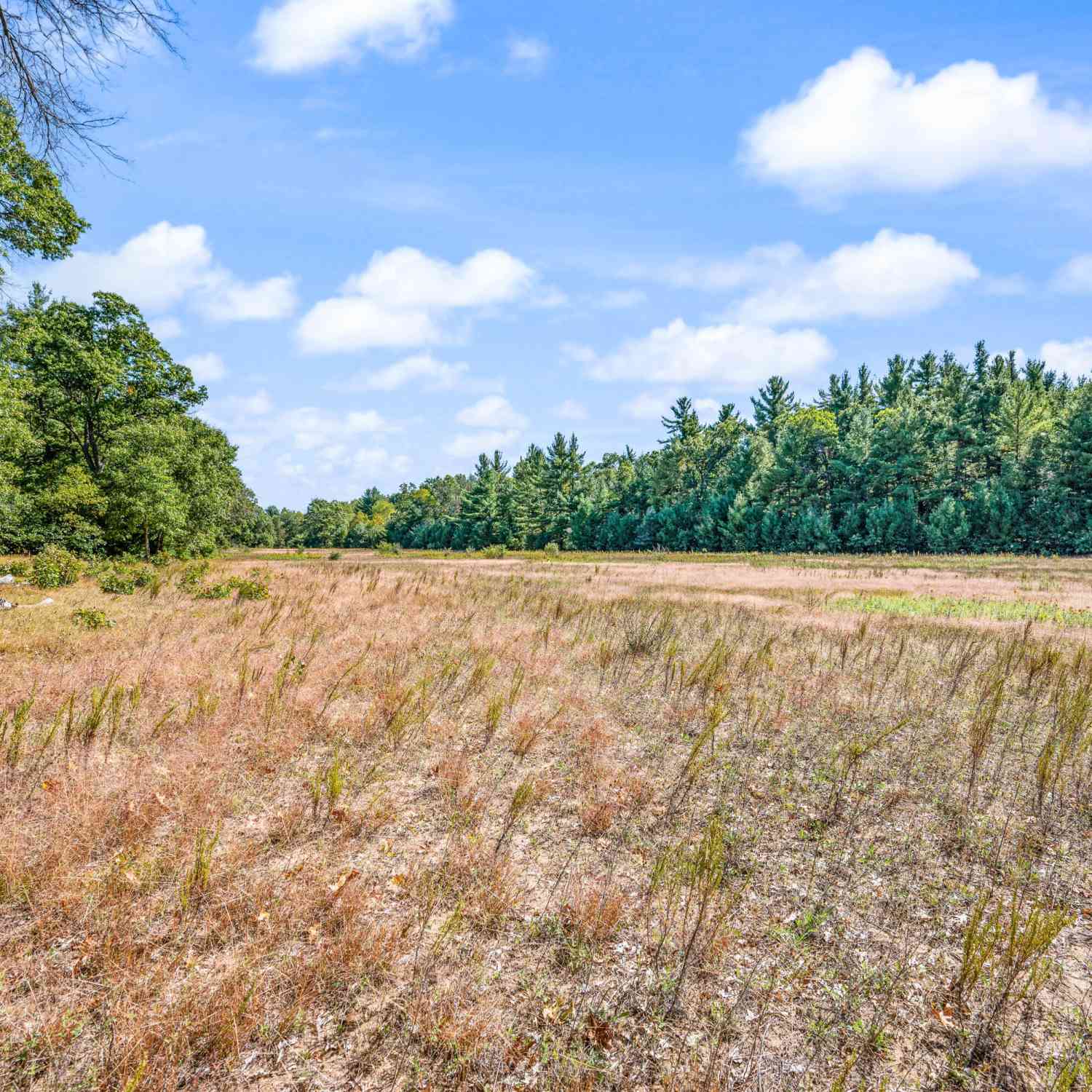 Vacant Land For Sale - V/L 57 A S Locust Avenue<br/> White Cloud, MI 49349