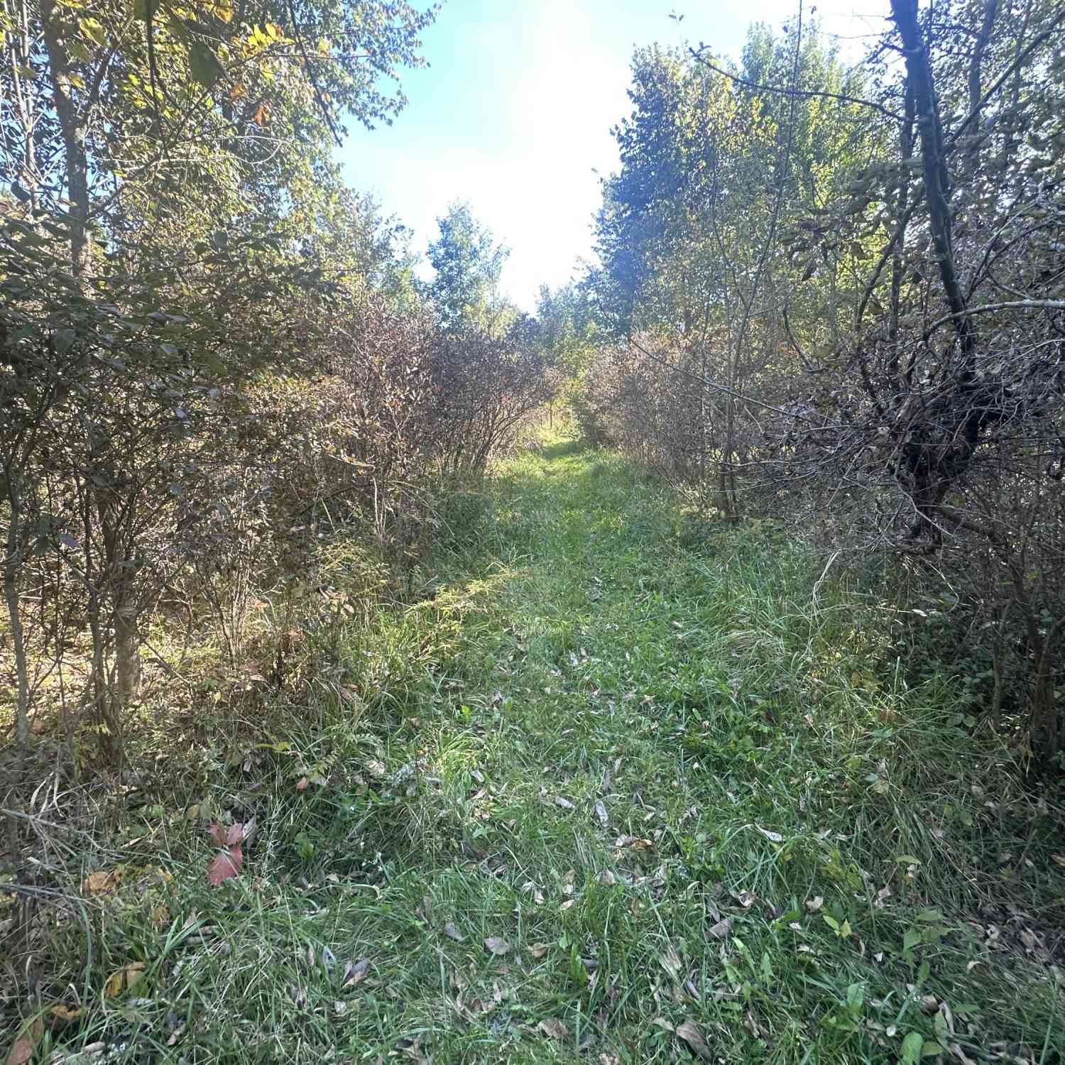 Vacant Land For Sale - VL 20 Mile Road<br/> Calhoun County, Marshall, MI 49068