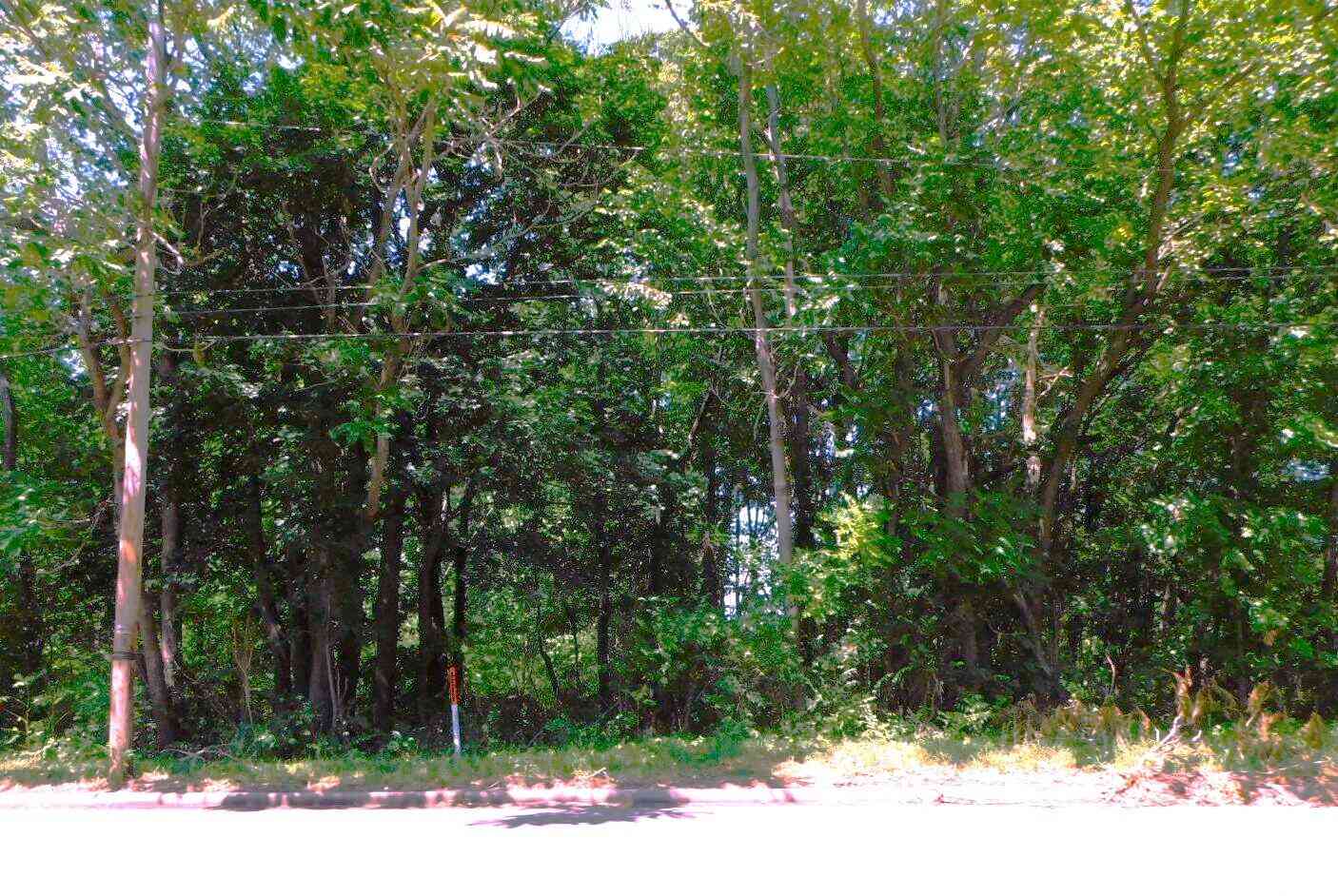 Vacant Land For Sale - E Napier Avenue<br/> Benton Harbor, MI 49022