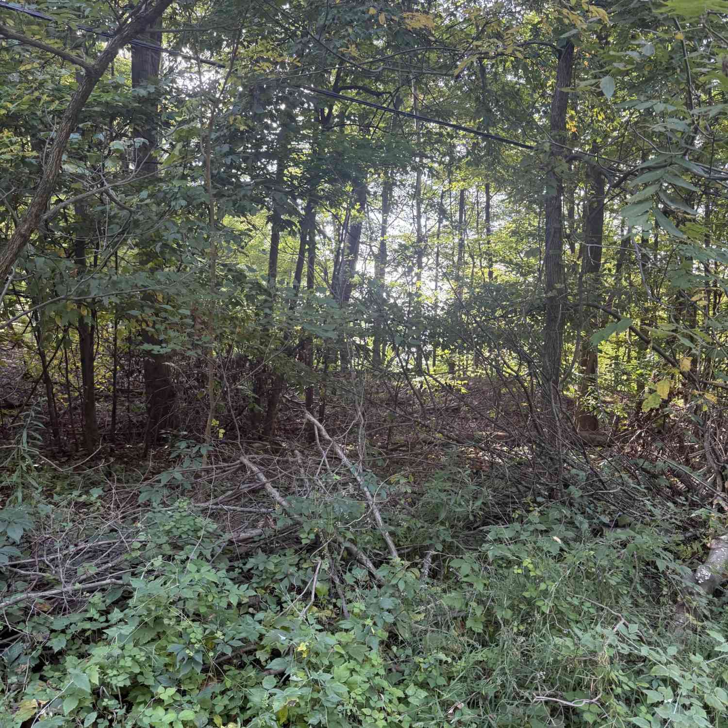 Vacant Land For Sale - Doster Road<br/> Plainwell, MI 49080