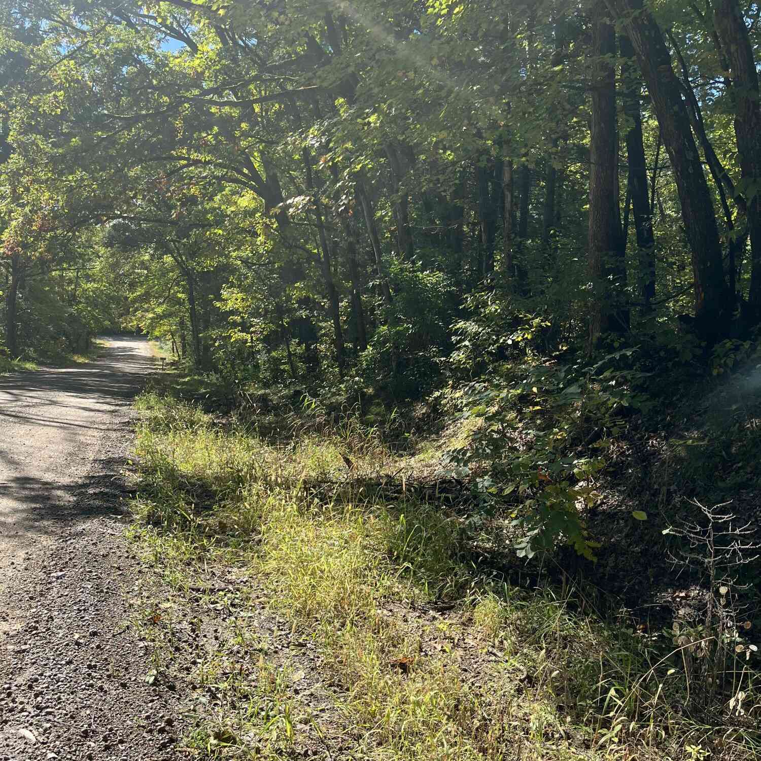 Vacant Land For Sale - VL Sweeter Road<br/> Twin Lake, MI 49457