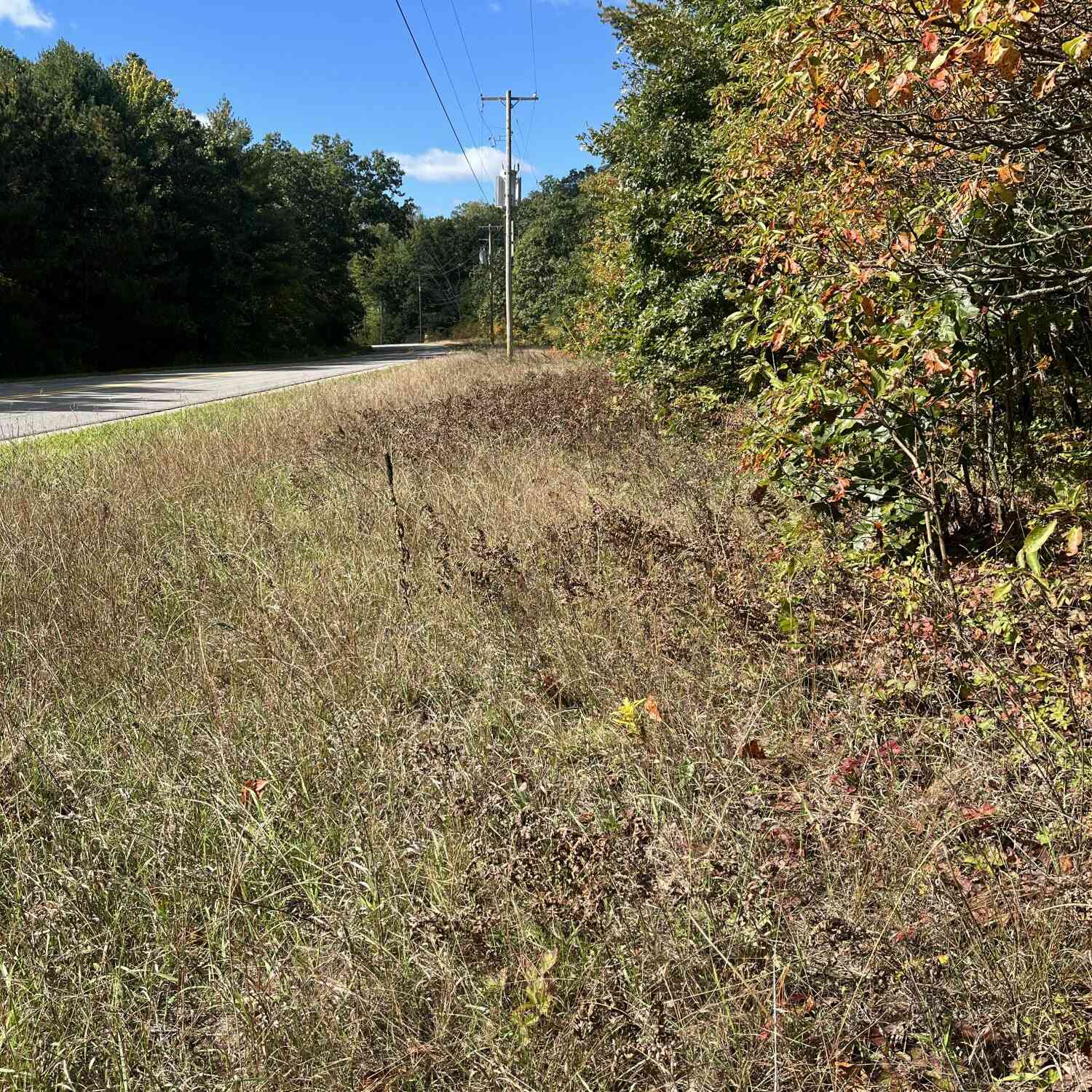Vacant Land For Sale - VL Sweeter Road<br/> Twin Lake, MI 49457