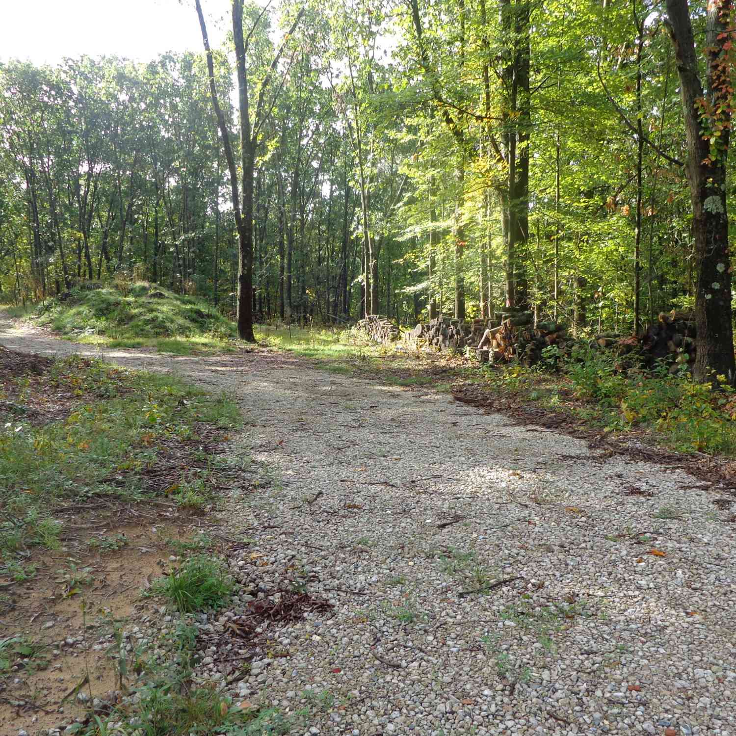 Vacant Land For Sale - PARCEL A 109th Avenue<br/> Pullman, MI 49450