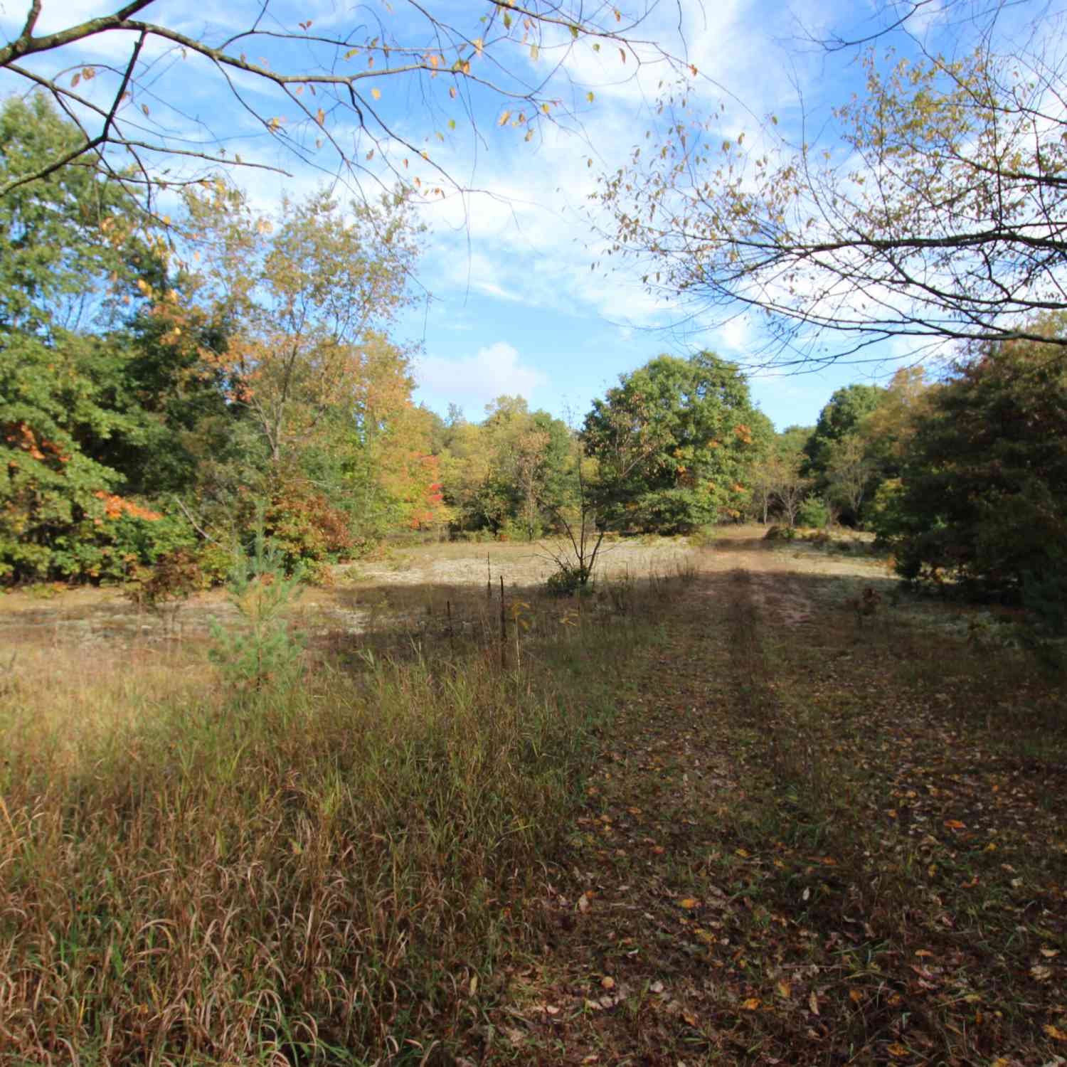 Vacant Land For Sale - River Ranch Road<br/> Hersey, MI 49639