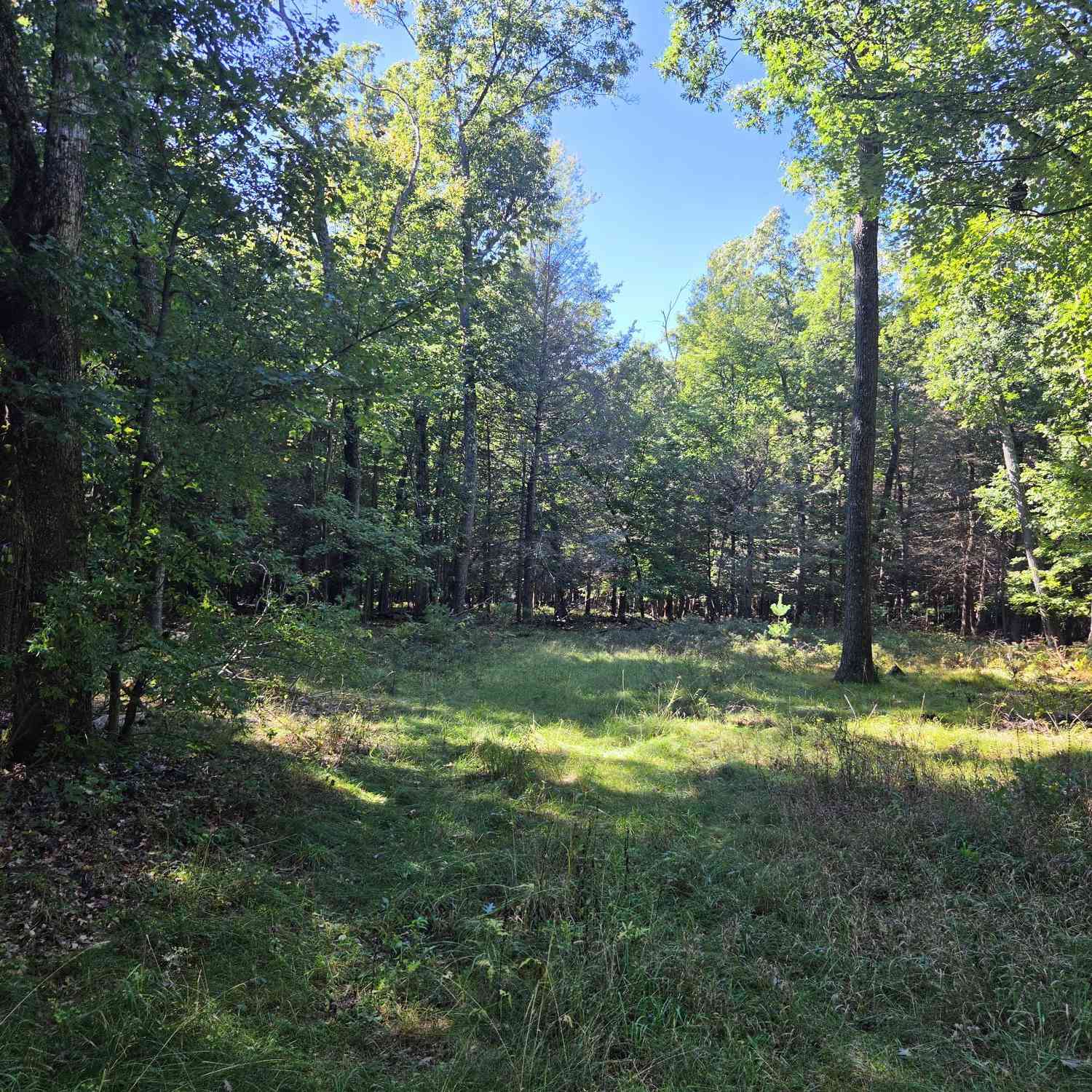 Vacant Land For Sale - VL Indian Bay Road #11.5 ACRES<br/> Montague, MI 49437