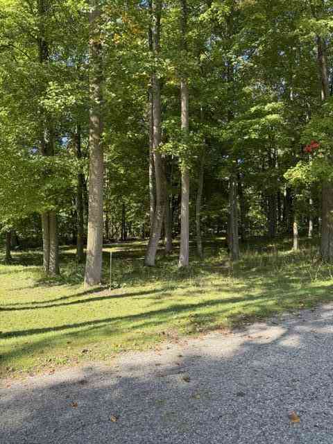 Vacant Land For Sale - Timberlane Drive<br/> Jones, MI 49061