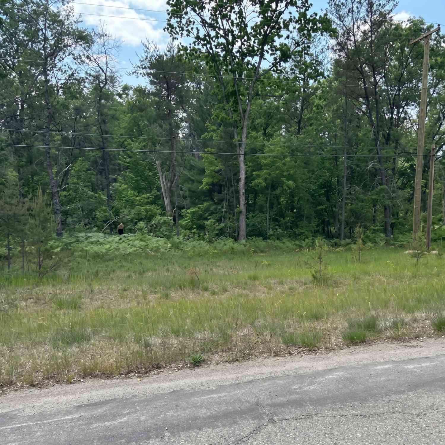 Vacant Land For Sale - 3188 S Yale Avenue<br/> Baldwin, MI 49304
