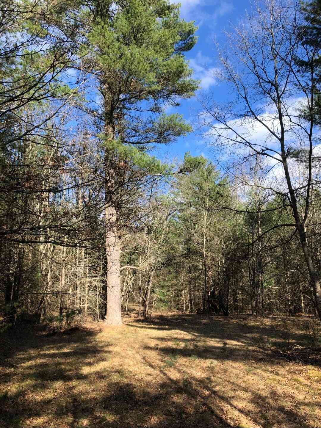 Vacant Land For Sale - NW Dalson Road<br/> Holton, MI 49425
