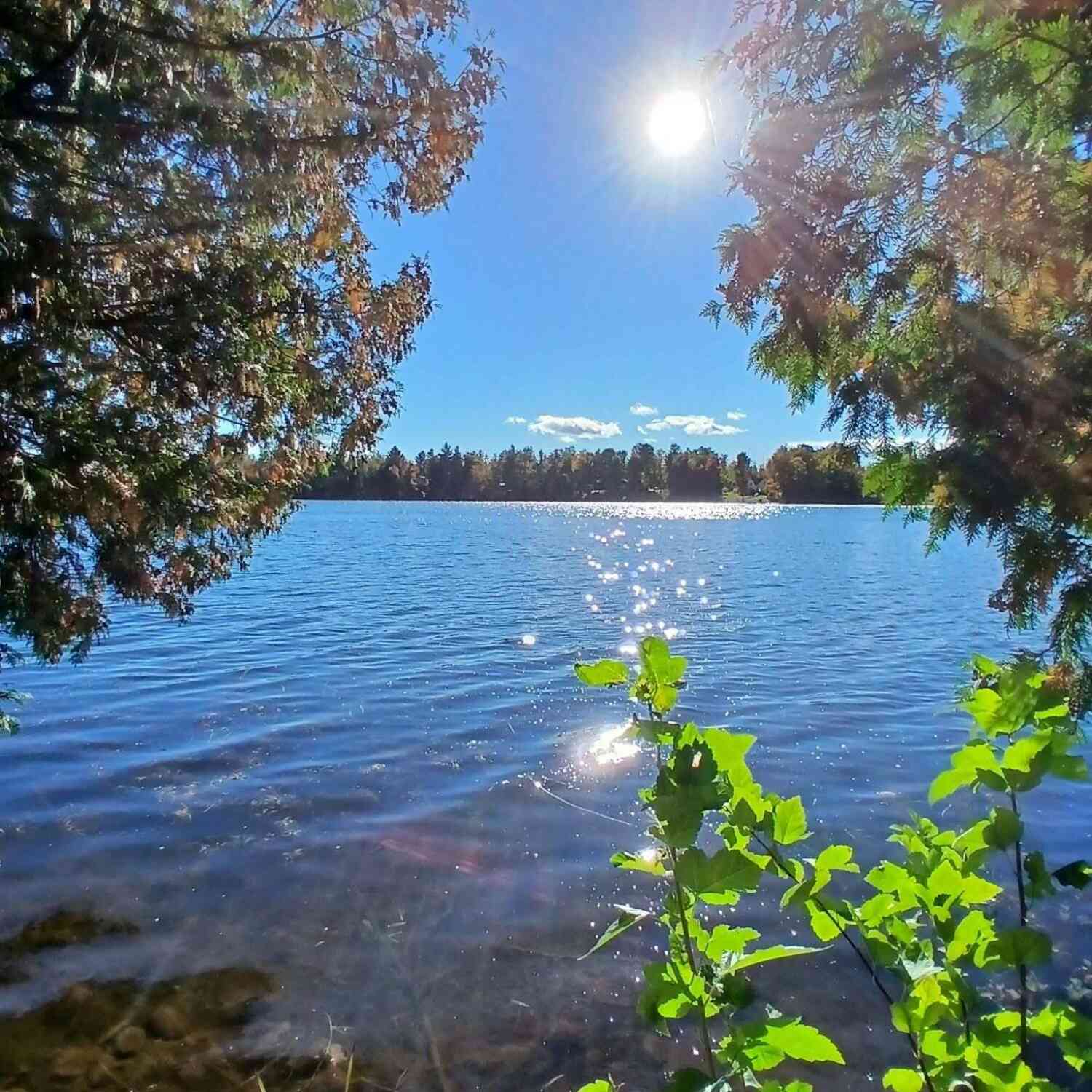 Vacant Land For Sale - 2625 River Bluff Drive<br/> Alpena, MI 49707
