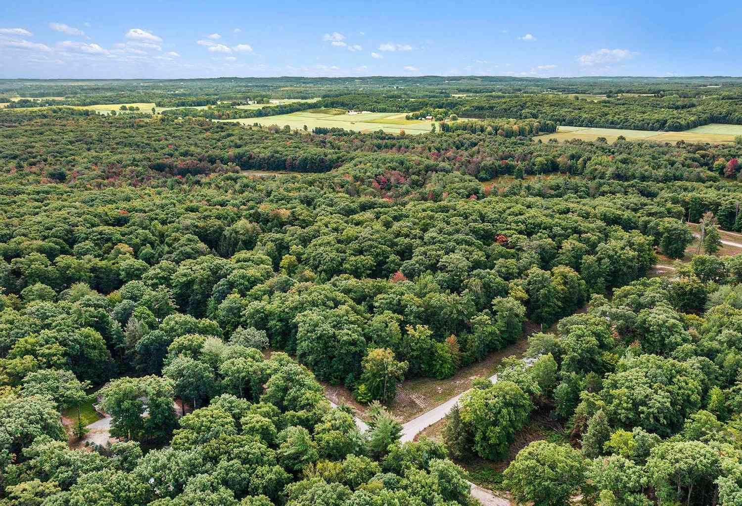 Vacant Land For Sale - LOT 2 Pine Street<br/> Mears, MI 49436
