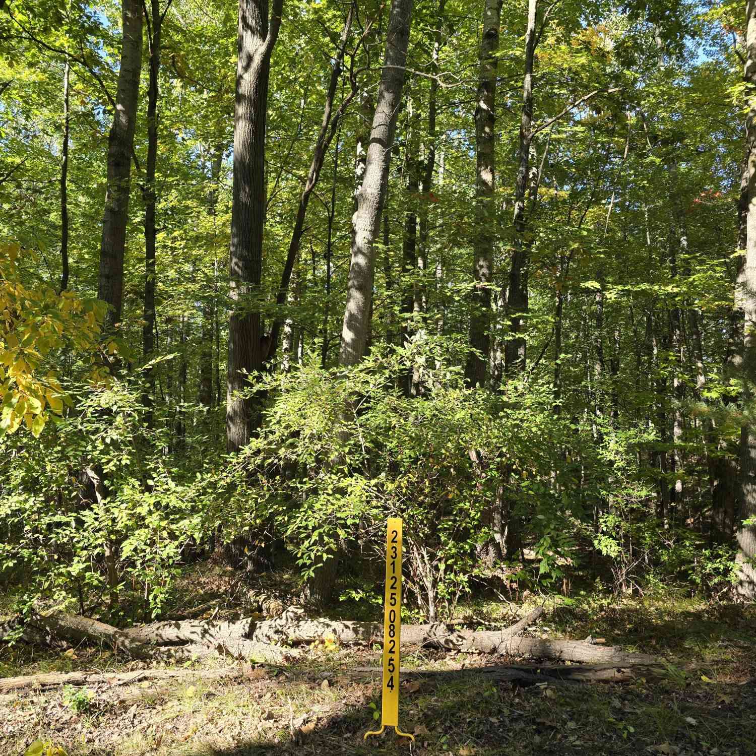 Vacant Land For Sale - 11980 Cape Breton Drive<br/> Canadian Lakes, MI 49346
